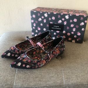 Coach x Tabitha Simmons Flats